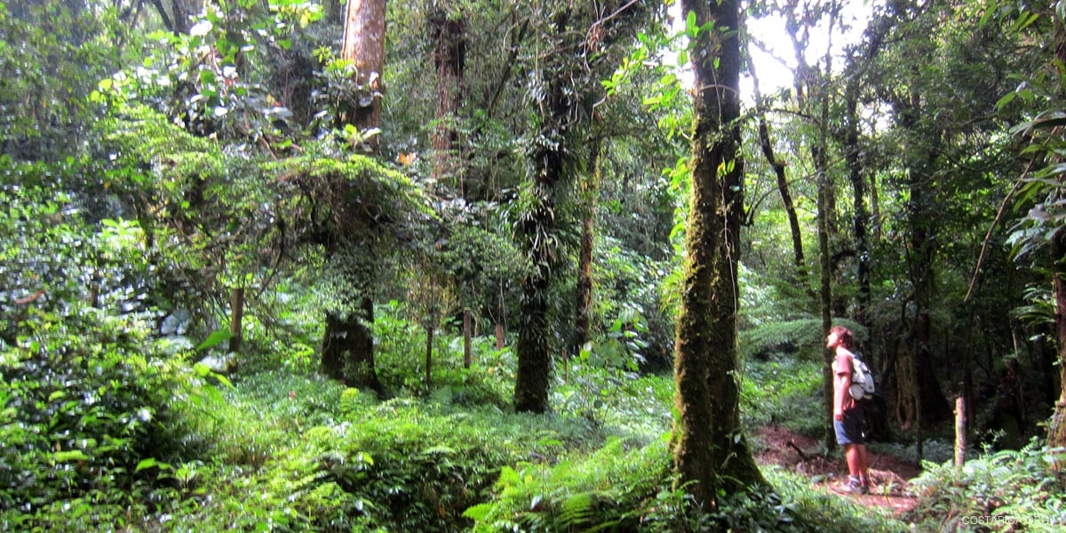 Parque Nacional Carara